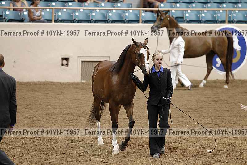 Proof 10yn-19957