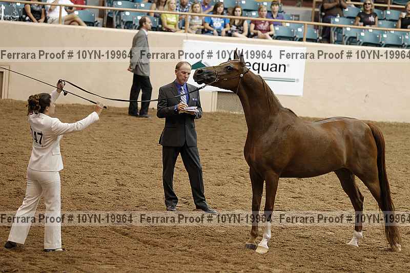 Proof 10yn-19964