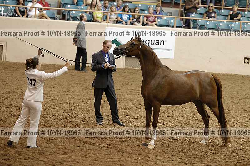 Proof 10yn-19965