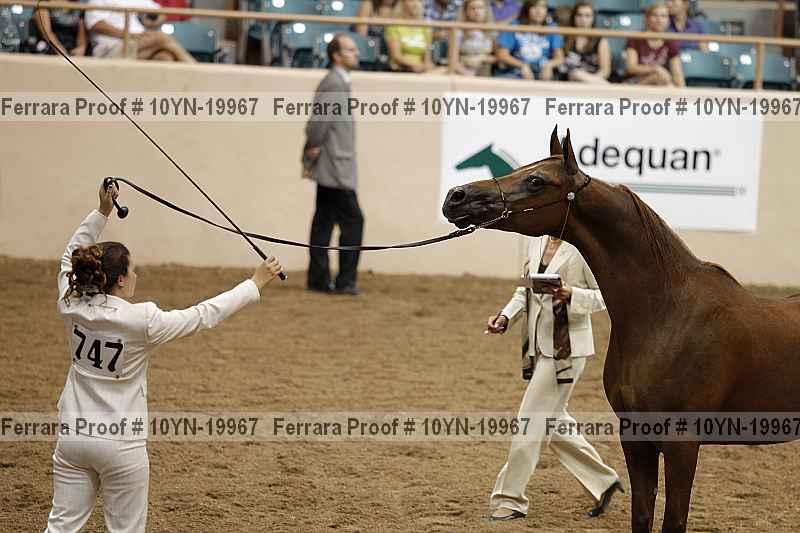Proof 10yn-19967