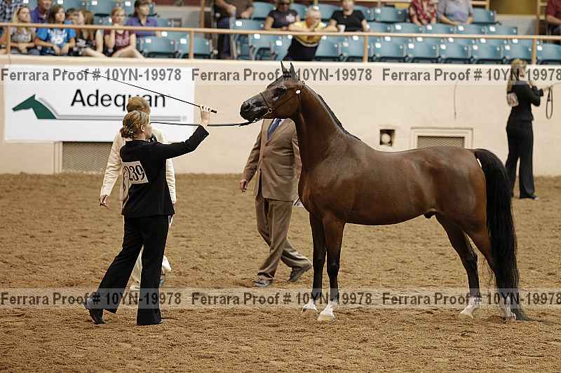 Proof 10yn-19978