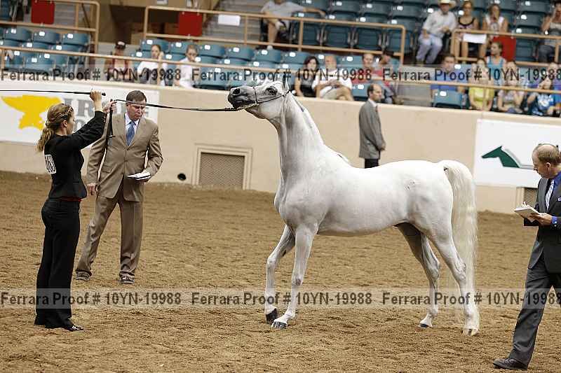 Proof 10yn-19988