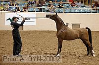 10yn-20002 proof