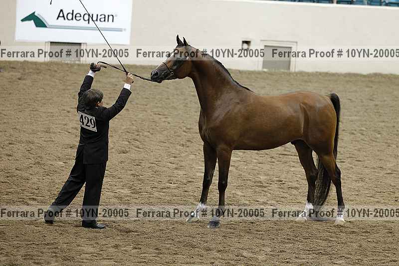 Proof 10yn-20005