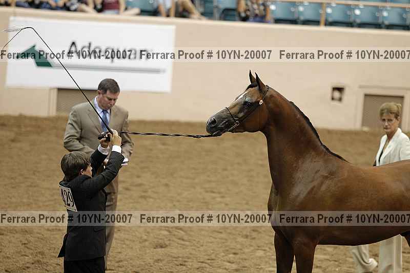 Proof 10yn-20007
