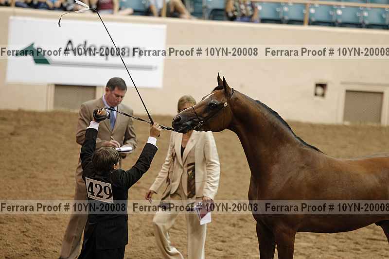 Proof 10yn-20008
