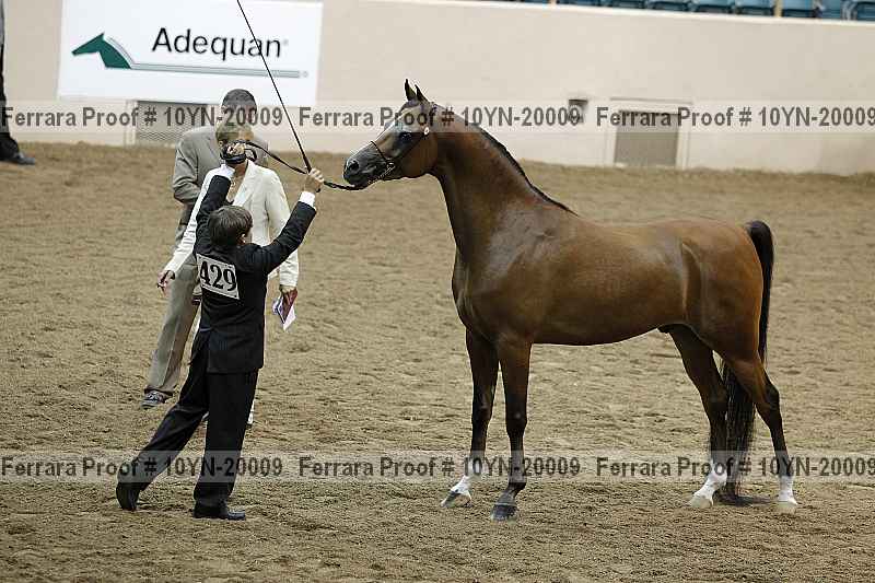 Proof 10yn-20009