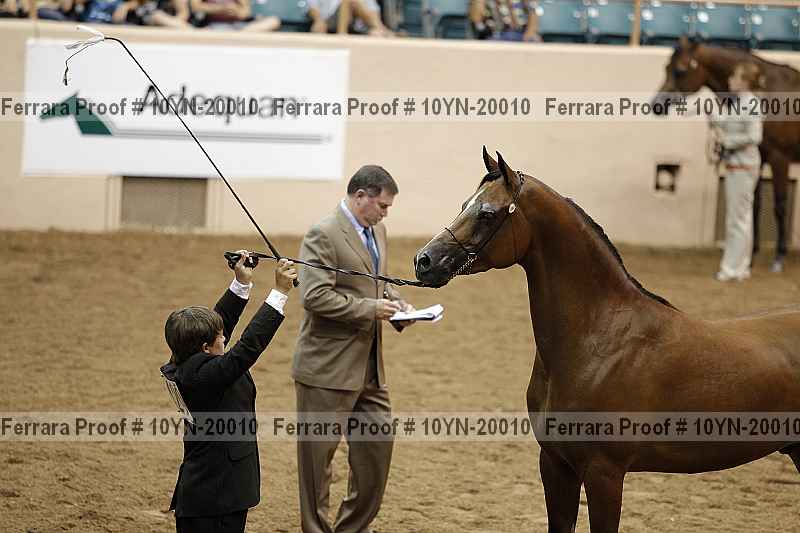 Proof 10yn-20010