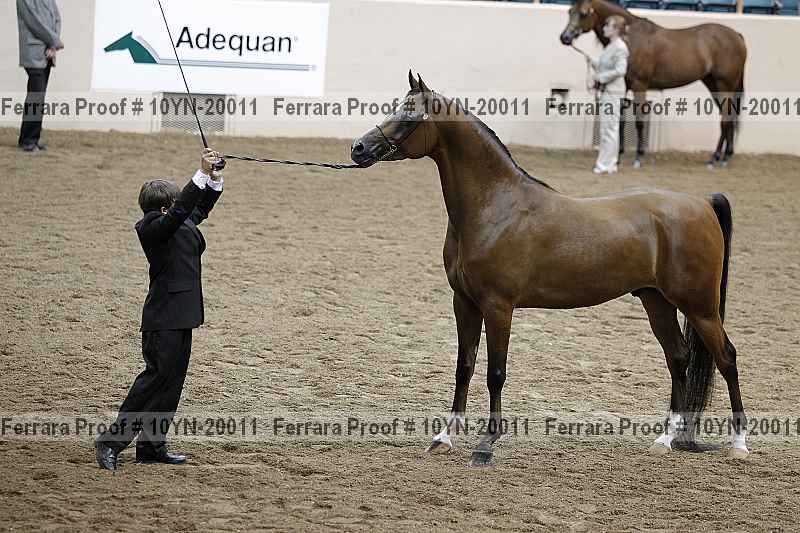 Proof 10yn-20011