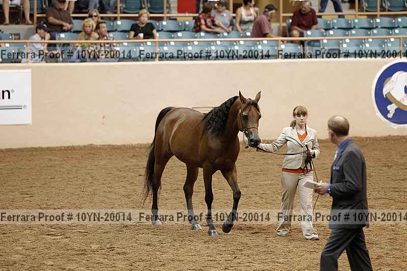 Proof 10yn-20014