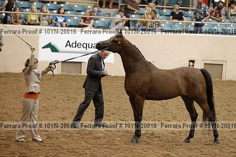 Proof 10yn-20016