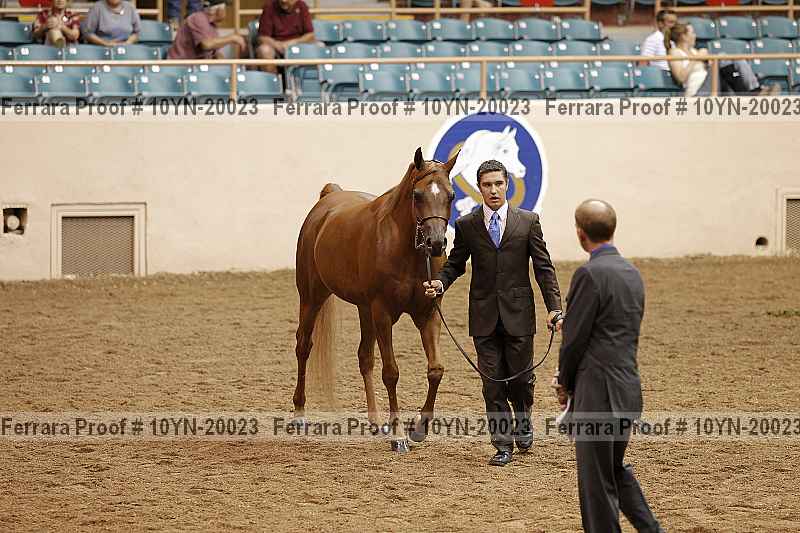Proof 10yn-20023