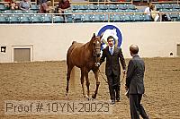 10yn-20023 proof
