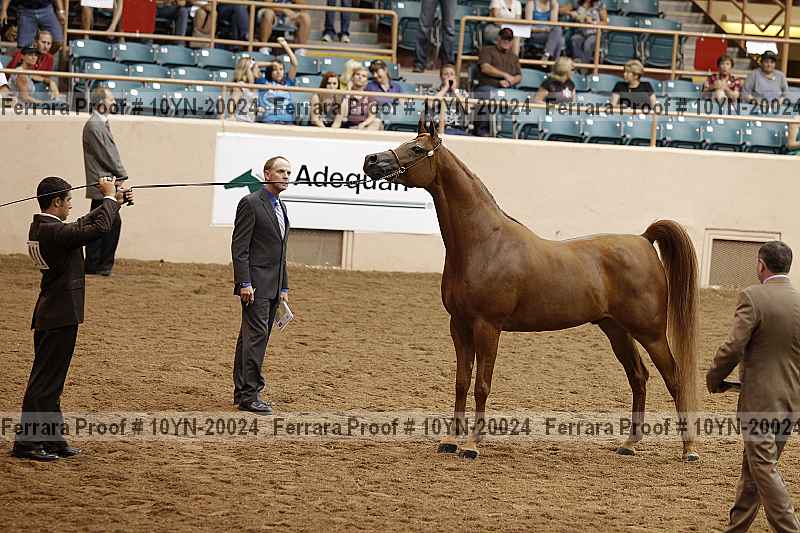 Proof 10yn-20024