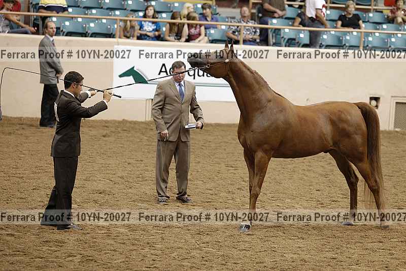 Proof 10yn-20027