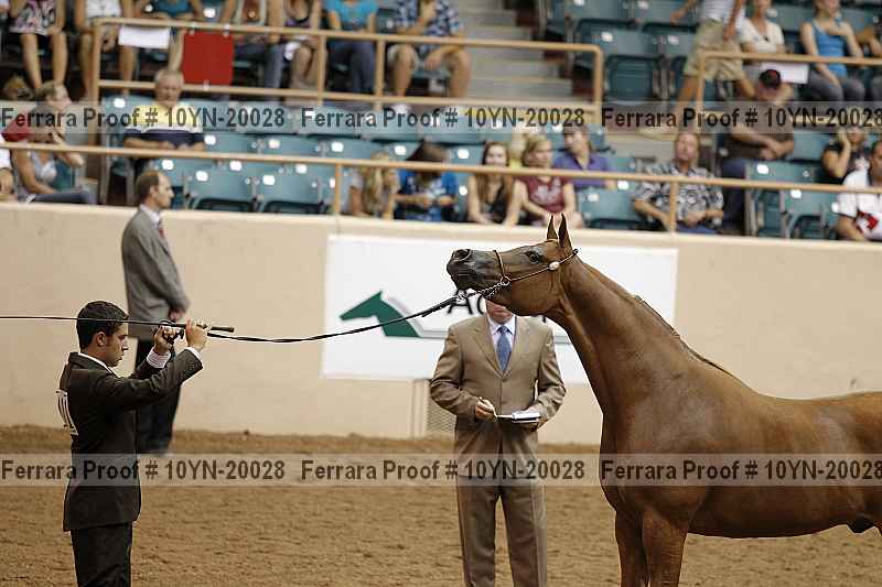 Proof 10yn-20028