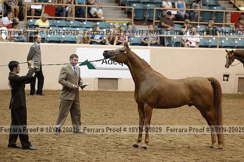 Proof 10yn-20029