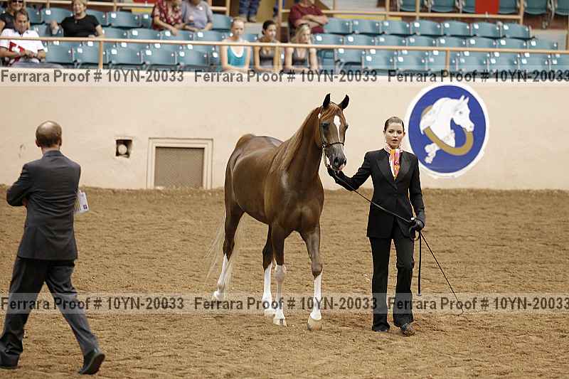 Proof 10yn-20033