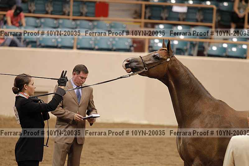 Proof 10yn-20035