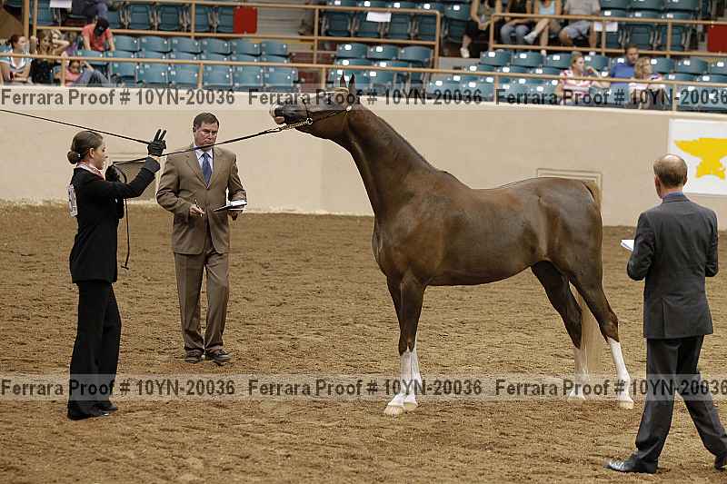 Proof 10yn-20036