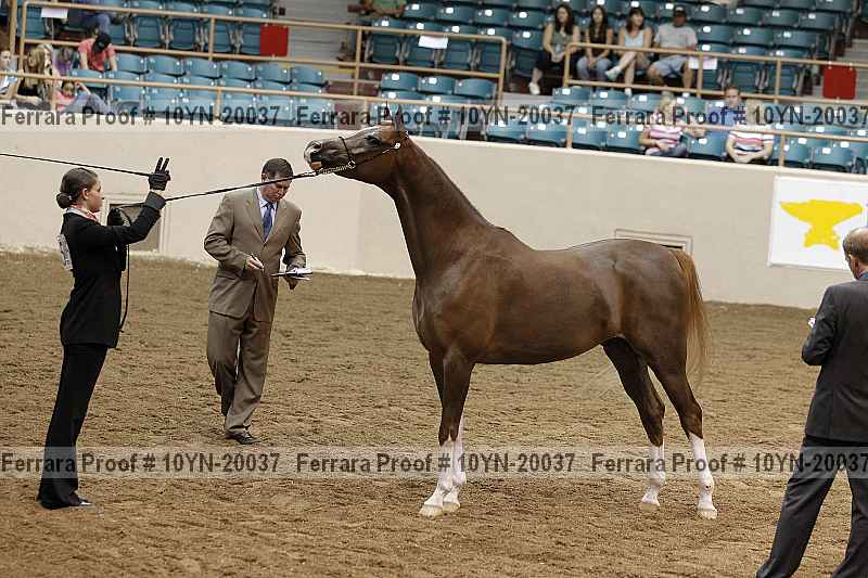 Proof 10yn-20037