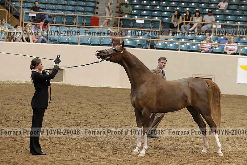 Proof 10yn-20038