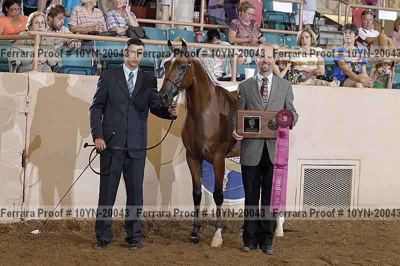 Proof 10yn-20043