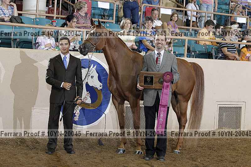 Proof 10yn-20045