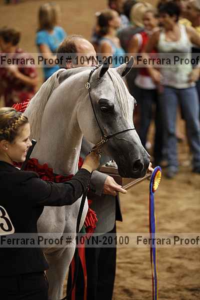 Proof 10yn-20100