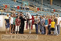 10yn-20107 proof