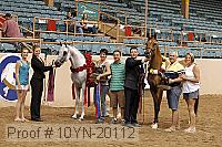 10yn-20112 proof