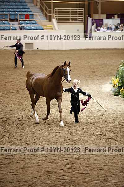Proof 10yn-20123