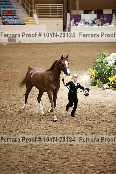 Proof 10yn-20124