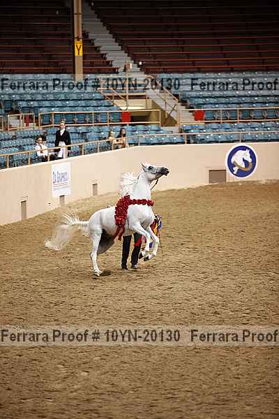 Proof 10yn-20130