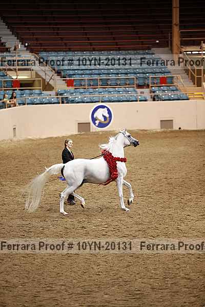 Proof 10yn-20131