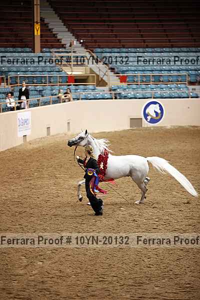 Proof 10yn-20132