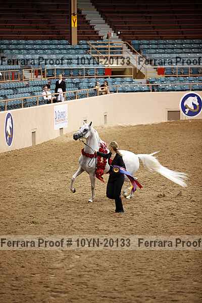 Proof 10yn-20133