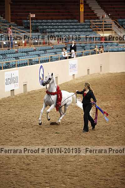 Proof 10yn-20135