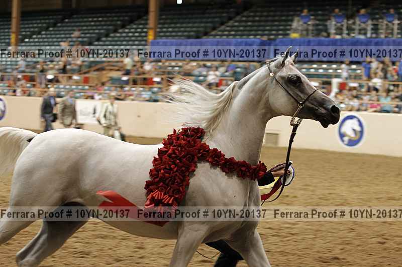 Proof 10yn-20137