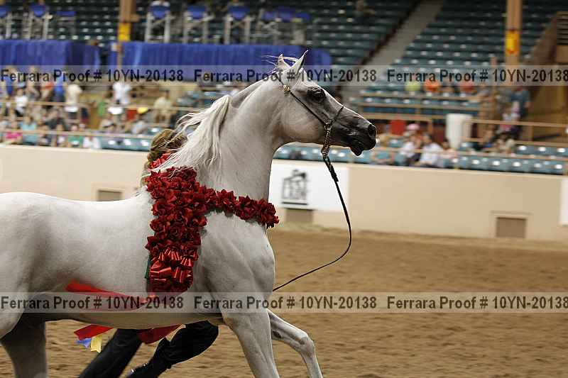 Proof 10yn-20138