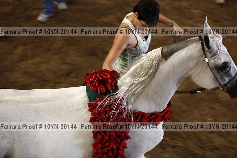 Proof 10yn-20144