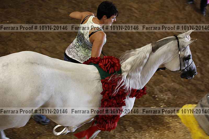 Proof 10yn-20146