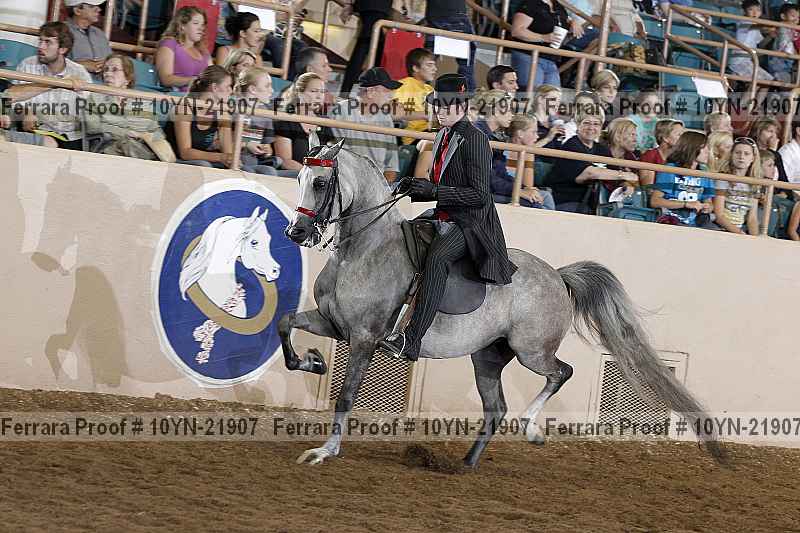 Proof 10yn-21907