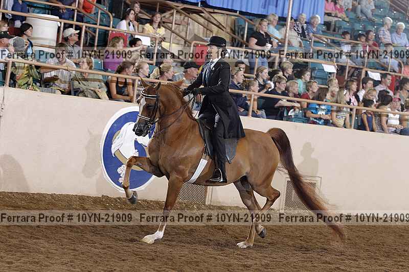 Proof 10yn-21909