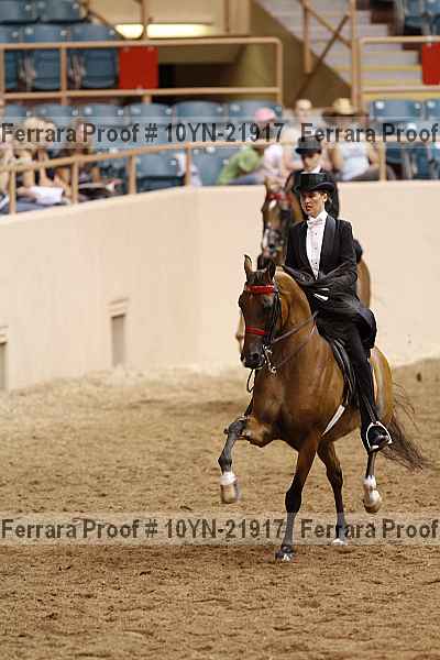 Proof 10yn-21917