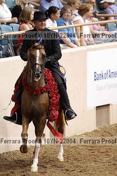 Proof 10yn-22004