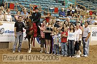 10yn-22006 proof