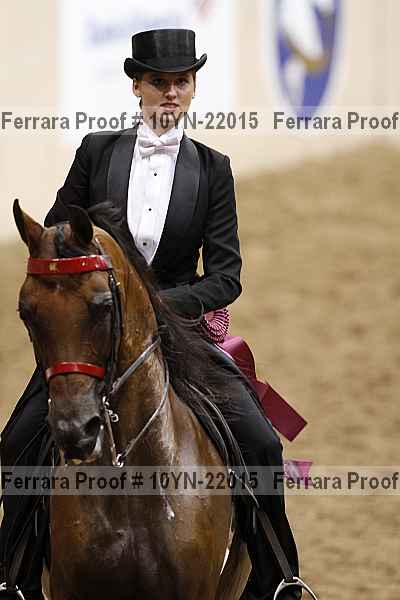Proof 10yn-22015