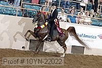 10yn-22022 proof