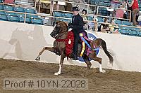 10yn-22028 proof